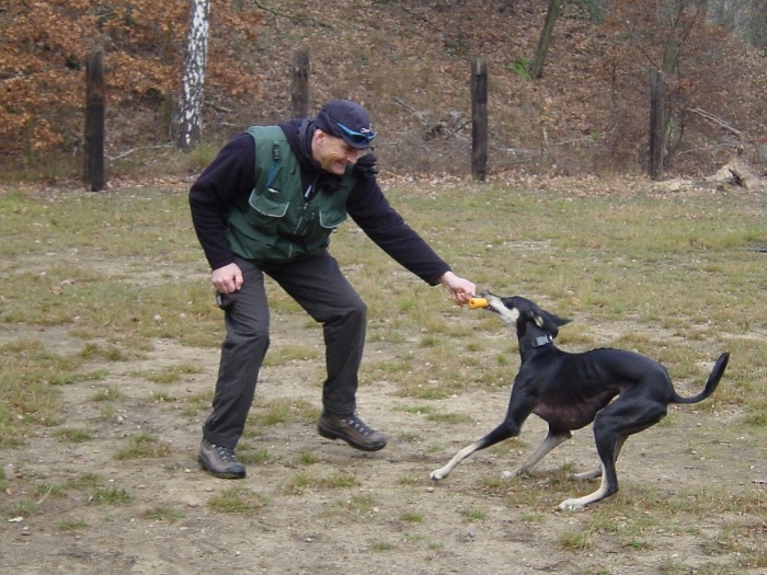 Stefan + Mitraa